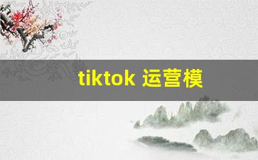 tiktok 运营模式_TikTok运营